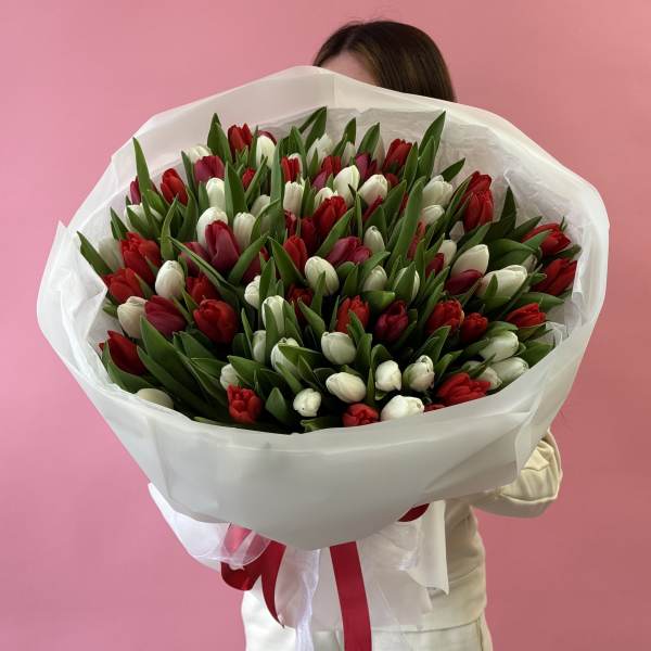 Large bouquet of red and white tulips wrapped in white paper