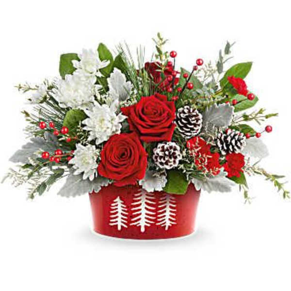 Red and white floral arrangement in a red container with pinecones
