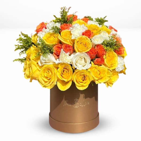 Spring gold box