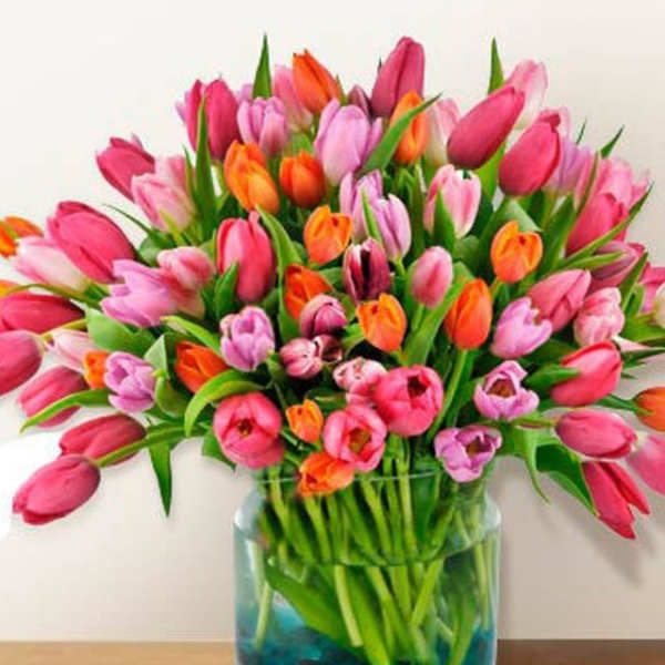 Bouquet of pink, orange, and purple tulips in a glass vase