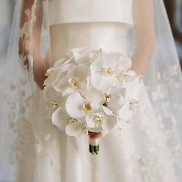 Orchids Bouquet