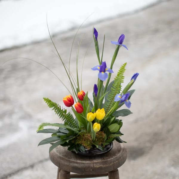 Arrangement of red, yellow, and purple flowers in a low black container