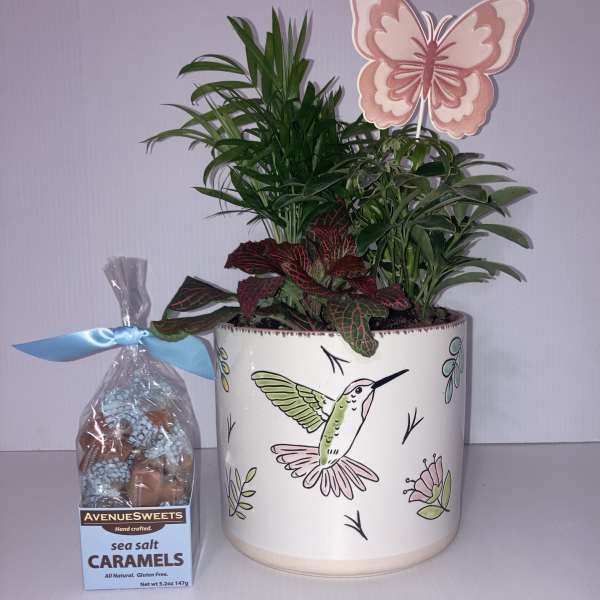 Mothers Day Plant with Caramels
