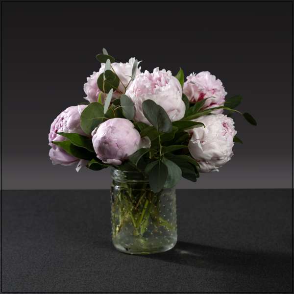 Peony Bliss (Color will vary)