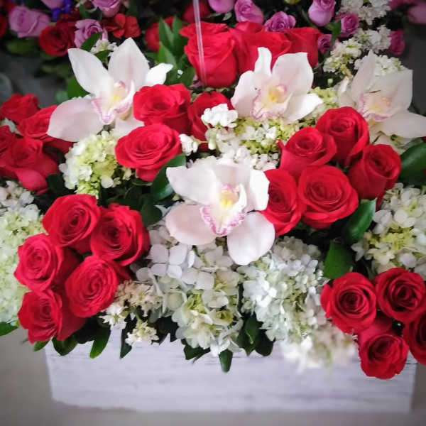 Luxury Roses & Orchids Arrangement