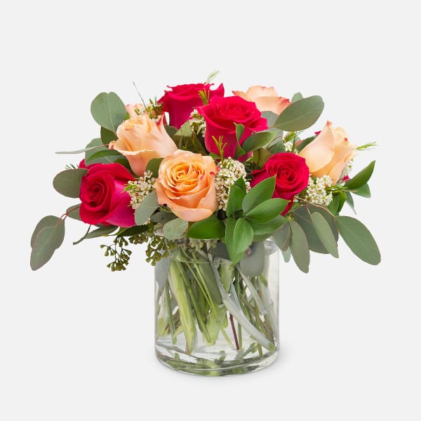En Provence