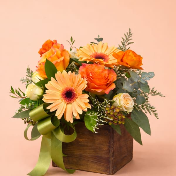 Golden Peach Garden Box – Designer’s Choice | Mother’s Day Special
