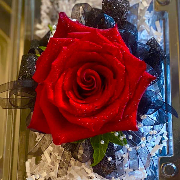 Single red rose with black ribbon and white filler in a gift box