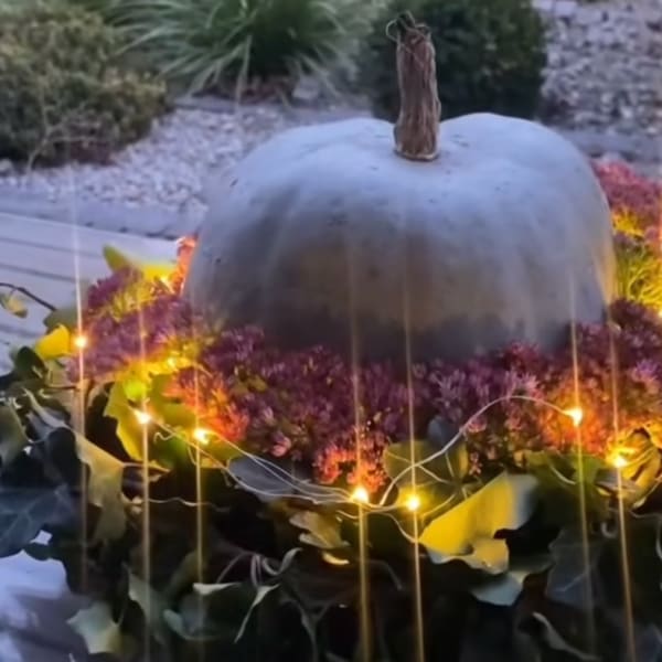 Purple Pumpkin