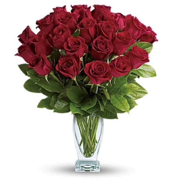 Roses two dozen