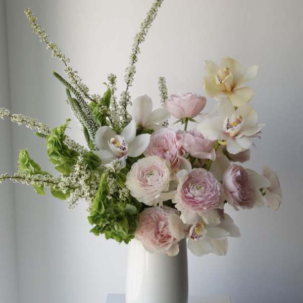 Maison Blush