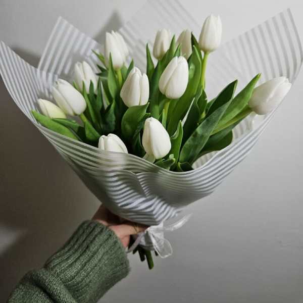 Tulips