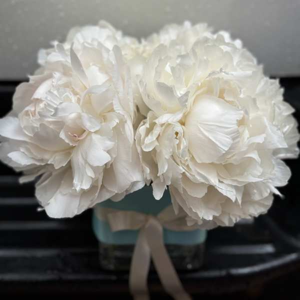 White peony bouquet in a small blue box with a ribbon