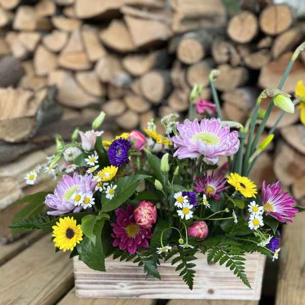 Picnic Box