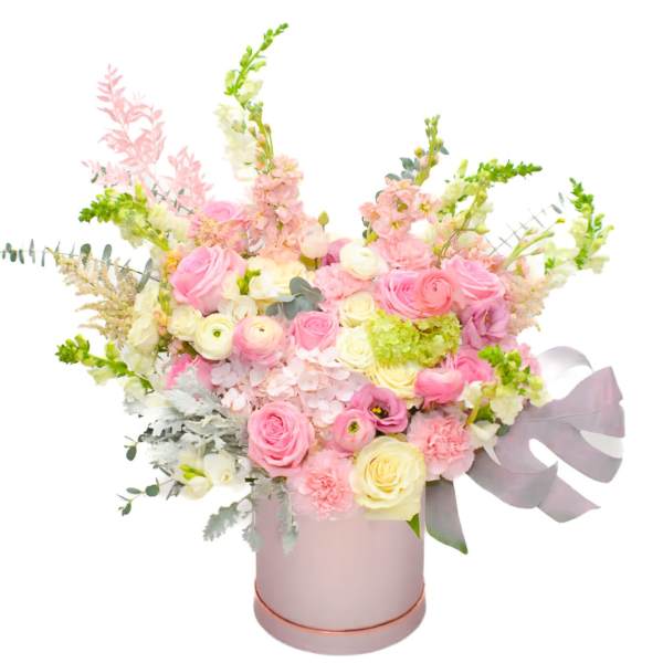 Pretty Lady