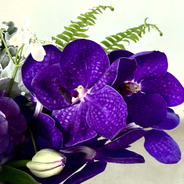 Regal Amethyst Garden Arrangement