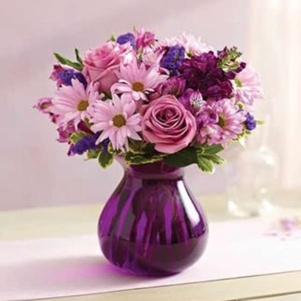 Lavender Dreams