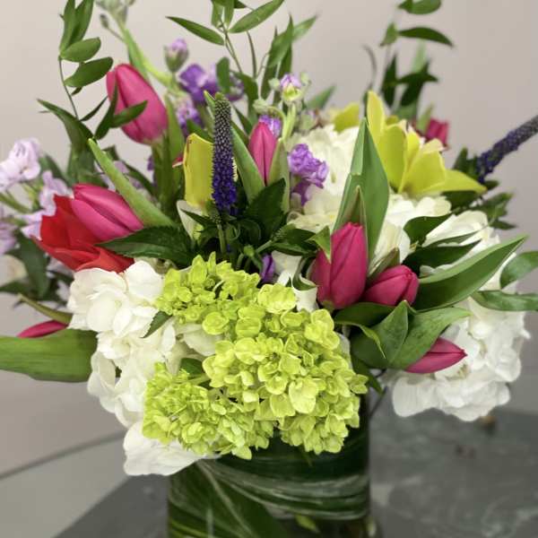 Spring Surprise