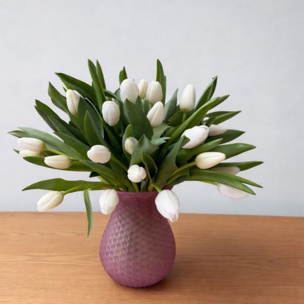 White Tulip Garden