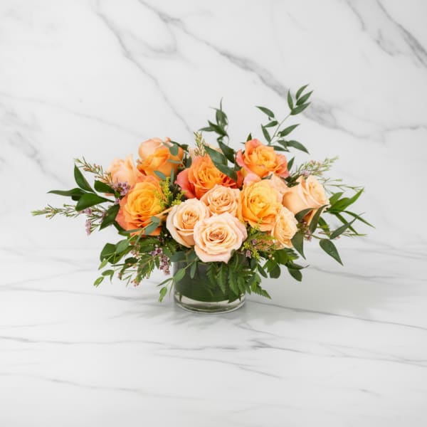 Apricot Glow
