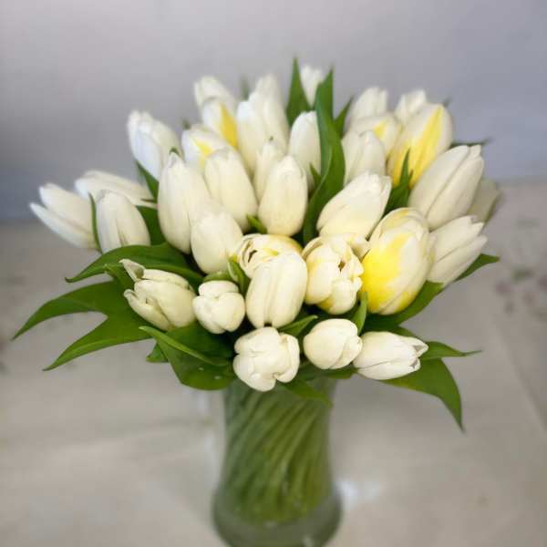 Tight bouquet of white and pale yellow tulips arranged in a clear glass vase.