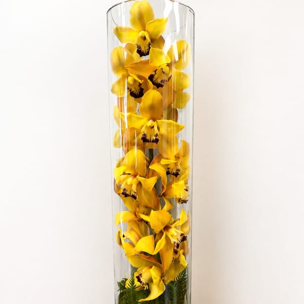 Golden orchid