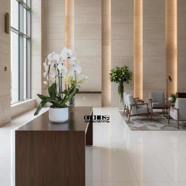 White orchids in a white pot on a wooden table in a lobby