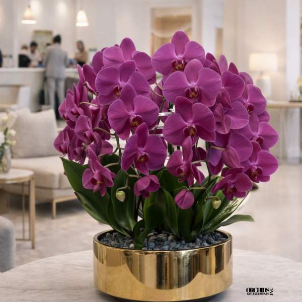 Purple orchids arranged in a gold bowl planter