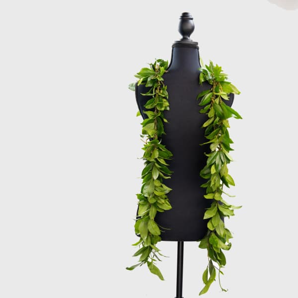 Double Maile Lei