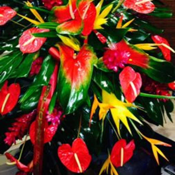 Sympathy Arrangements44/ 5-7 Days