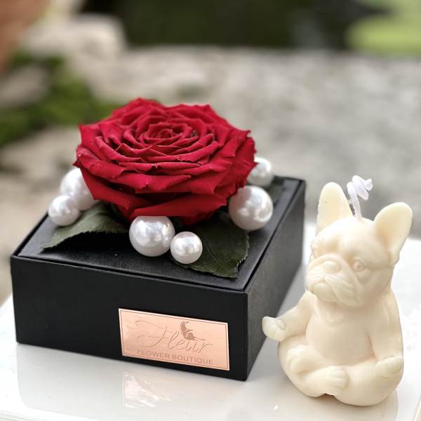 Red rose in a black gift box with pearl accents and a small dog figurine