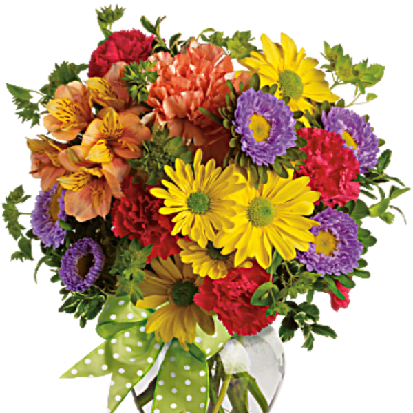 Bright and Cheery