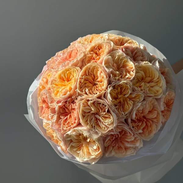 Bouquet of peach and cream roses wrapped in white paper