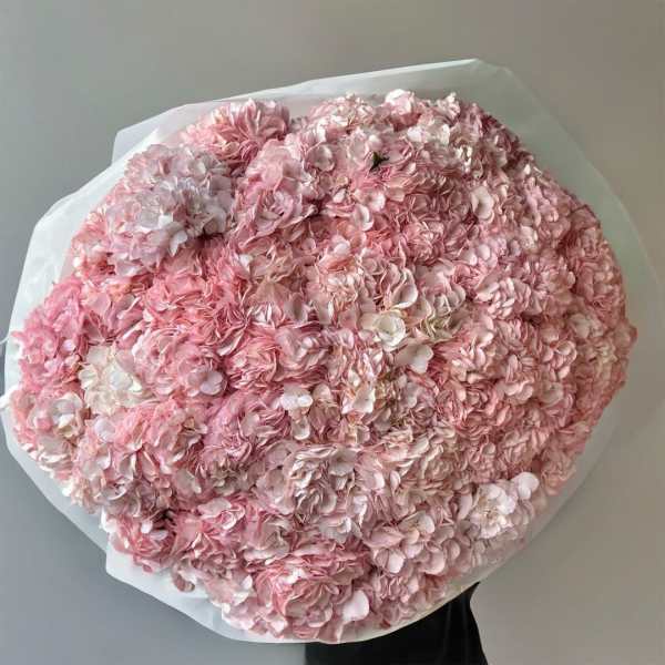 Large round bouquet of pale pink hydrangeas wrapped in white paper