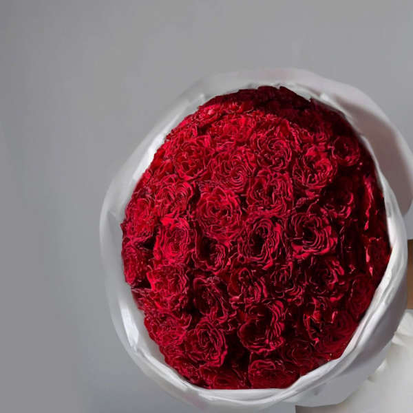 Large bouquet of red roses wrapped in white paper