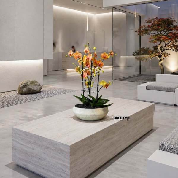 Thank you Orchid Miami