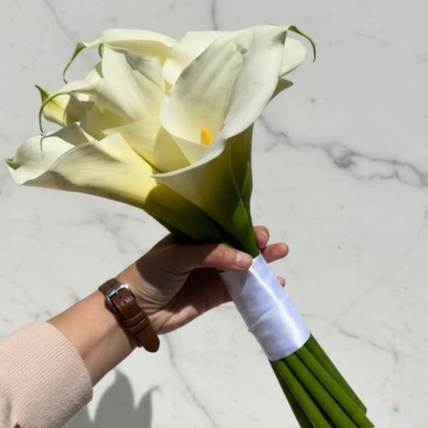 Soft Harmony Lilies