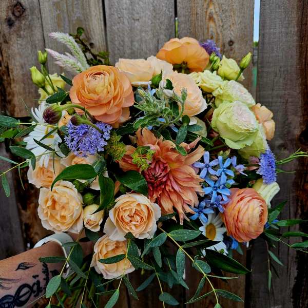 Absolutely Ranunculus