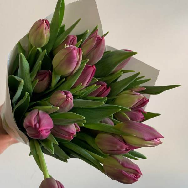 Local Tulips