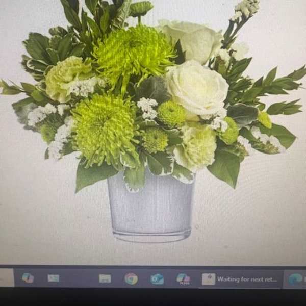 Soft Green Delight