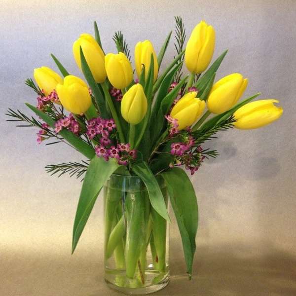 Totally Tulips