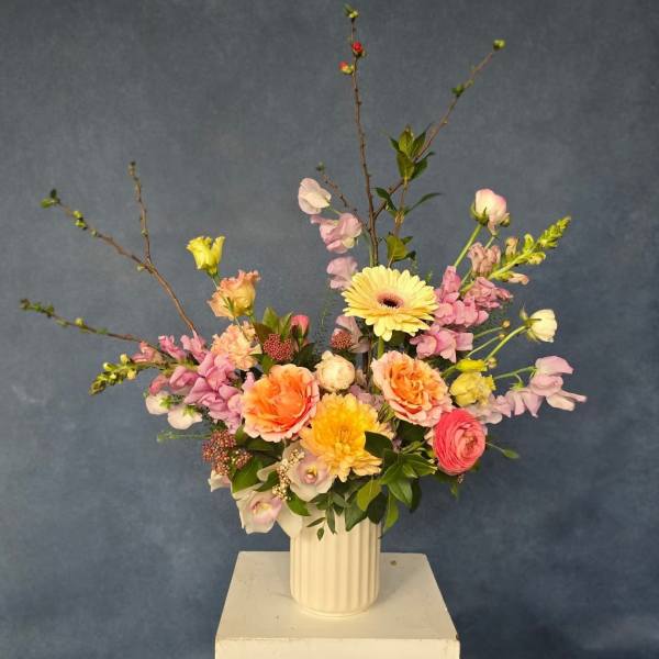 Seasonal Designers Choice