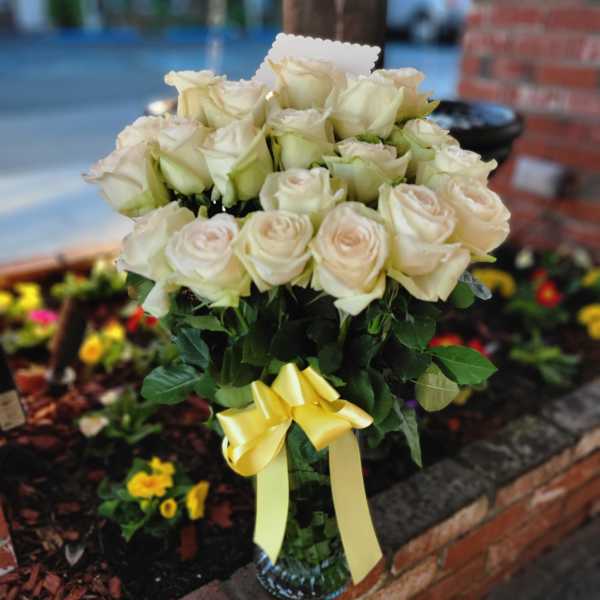 2 dozen white Roses