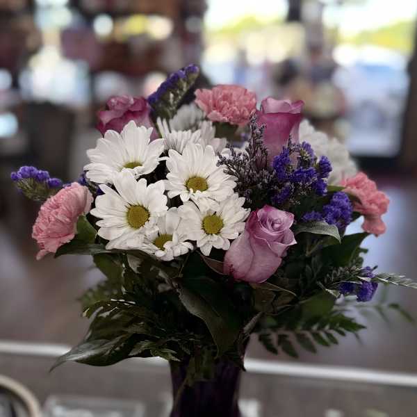 Daisy Delight