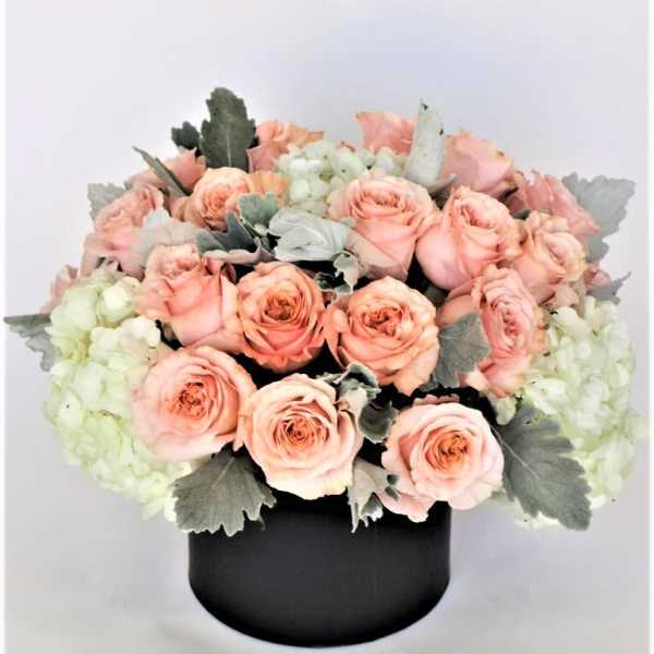 Peaches & Cream