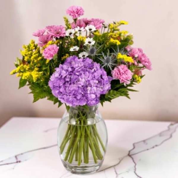 Spring Harmony