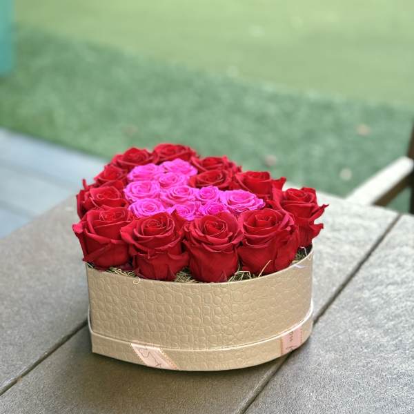 Heart-shaped box of red and pink roses