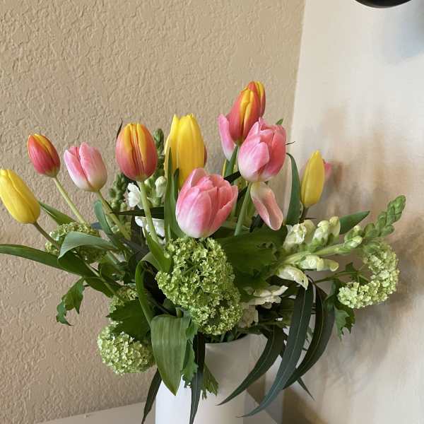 Tulip Garden