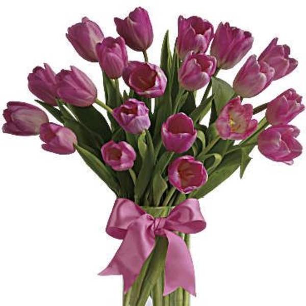 Precious Pink Tulips