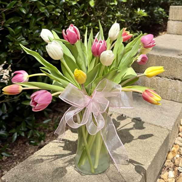 Pastel Tulips